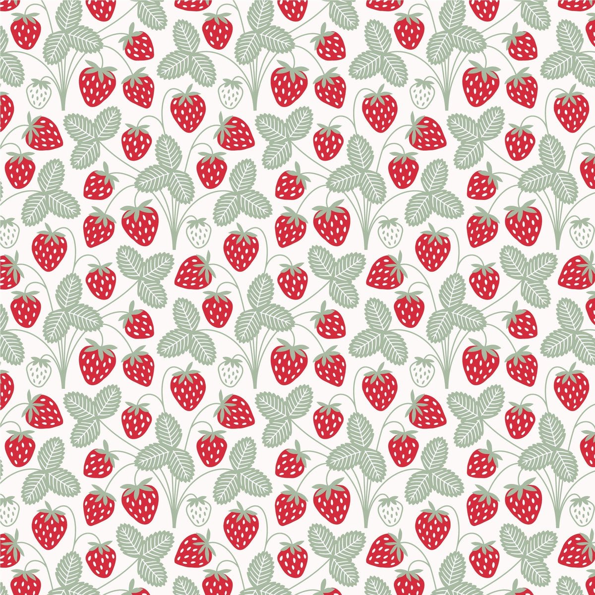 Iris Baby Tunic - Strawberries Red & Green