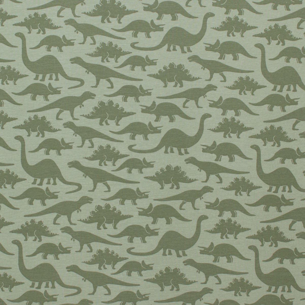 Chicago Dress - Dinosaurs Sage