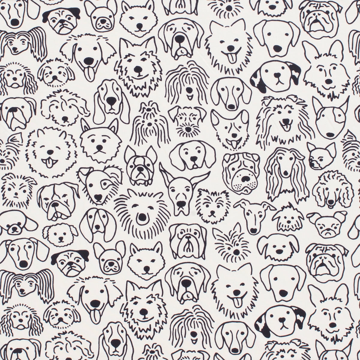 Leggings - Dogs Black
